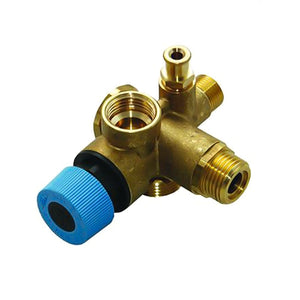 Gruppo collettore entrata fredda Boil Avio Zeus ex 1.4391 IMM3018342 ricambio originale per caldaie Immergas